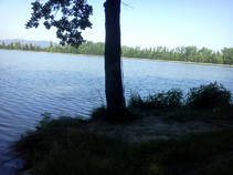 foto/fotoalba/16130/6727/x-chytej.cz-16130-54444.jpg