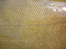 foto/fotoalba/16462/7805/x-chytej.cz-16462-71000.jpg