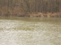 foto/fotoalba/16807/7050/x-chytej.cz-16807-58130.jpg