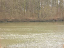 foto/fotoalba/16807/7050/x-chytej.cz-16807-58132.jpg
