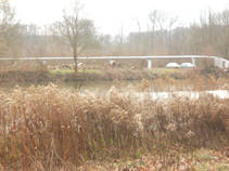 foto/fotoalba/16807/7050/x-chytej.cz-16807-58133.jpg