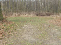 foto/fotoalba/16807/7050/x-chytej.cz-16807-58137.jpg