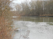 foto/fotoalba/16807/7050/x-chytej.cz-16807-58139.jpg