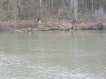 foto/fotoalba/16807/7050/x-chytej.cz-16807-58141.jpg