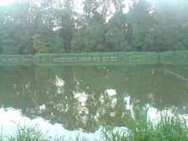 foto/fotoalba/16807/7050/x-chytej.cz-16807-58152.jpg