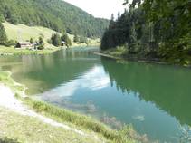 foto/fotoalba/16877/7070/chytej.cz-16877-58453.jpg