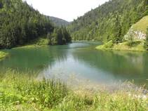 foto/fotoalba/16877/7070/x-chytej.cz-16877-58462.jpg