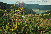 foto/fotoalba/17643/7460/x-chytej.cz-17643-64716.jpg