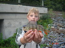 foto/fotoalba/17822/7439/x-chytej.cz-17822-63047.jpg