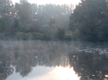 foto/fotoalba/18398/8013/x-chytej.cz-18398-69239.jpg