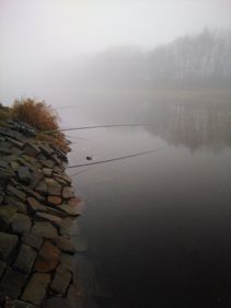 foto/fotoalba/19011/7761/x-chytej.cz-19011-66528.jpg