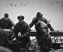 foto/fotoalba/19551/7988/x-chytej.cz-19551-69049.jpg