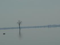 img93.jpg