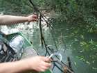 img126.jpg