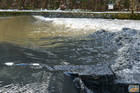 img145.jpg
