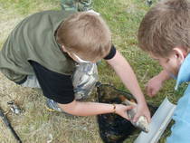 img99444.jpg