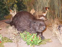 img104387.jpg