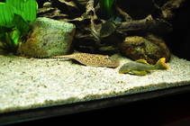 img106678.jpg