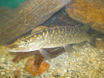img106679.jpg