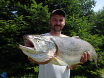 img108136.jpg