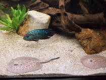 img109924.jpg