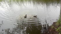 img110156.jpg