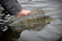 img121424.jpg