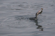 img122823.jpg