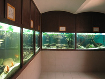 img123577.jpg