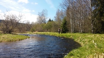 img124145.jpg