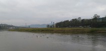 img127524.jpg