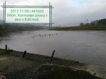 img127525.jpg