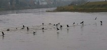 img127526.jpg
