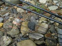 Shimano Speedmaster Heavy Feeder