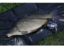Team Daiwa SR3 Feeder
