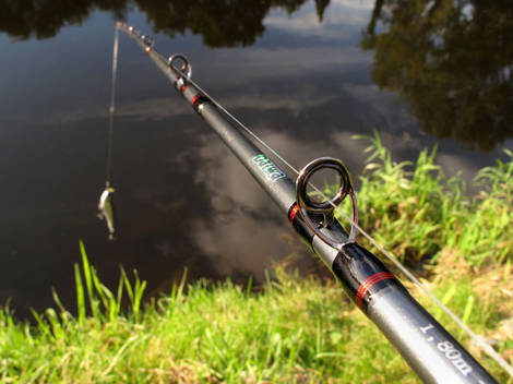 Daiwa Megaforce Heavy Jerkbait