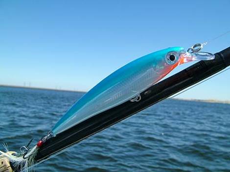 Rapala X - Rap