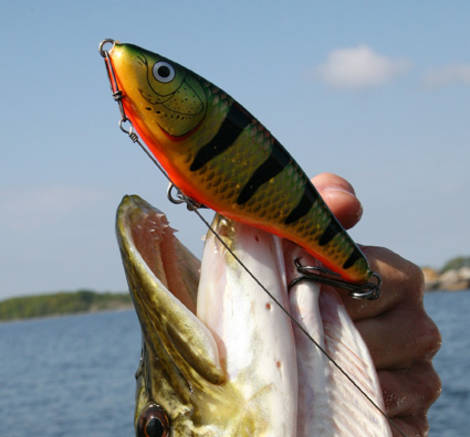 Rapala Glidin´Rap