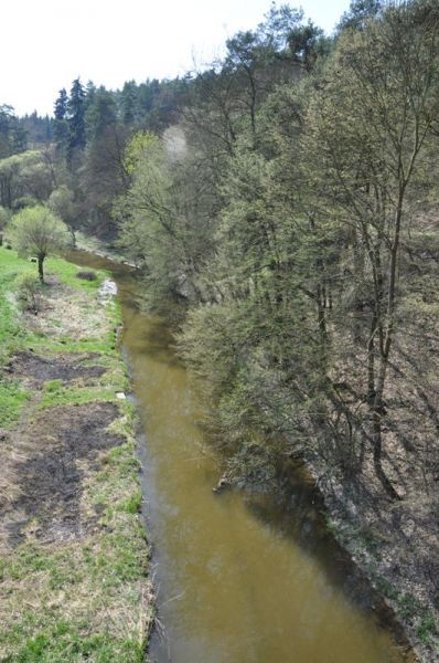 Janovický potok, spodní část - před ústím do Sázavy, Autor fota: ČRS