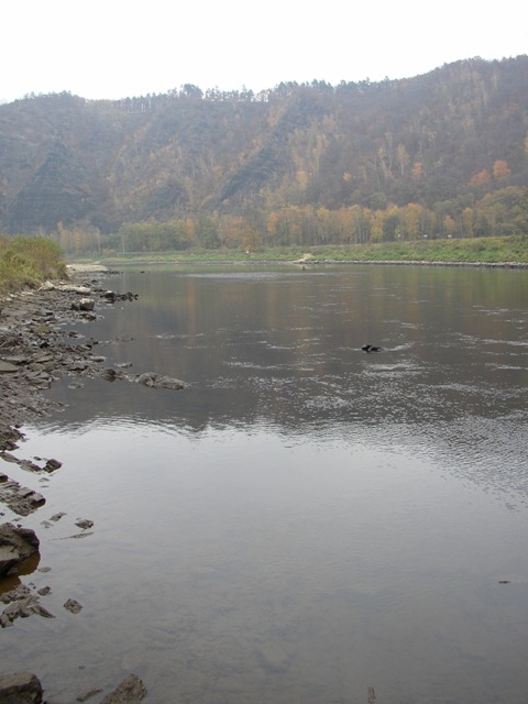 Vltava 7  u přívozu ve Vraném nad Vltavou - nízký stav vody, Autor fota: ČRS