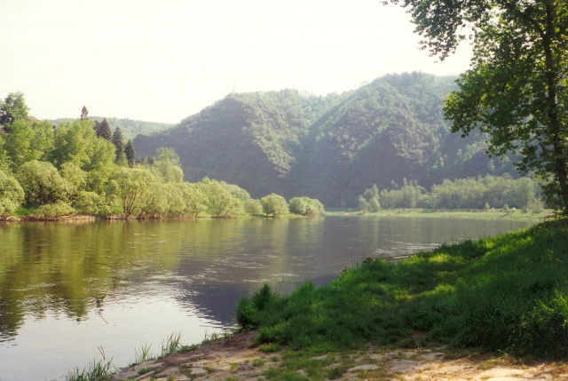 Vltava 7 pod přívozem ve Vraném nad Vltavou, Autor fota: ČRS