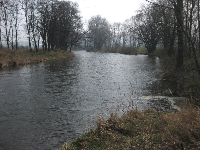 Vltava 24 nad Č. Budějovicemi, Autor fota: ČRS