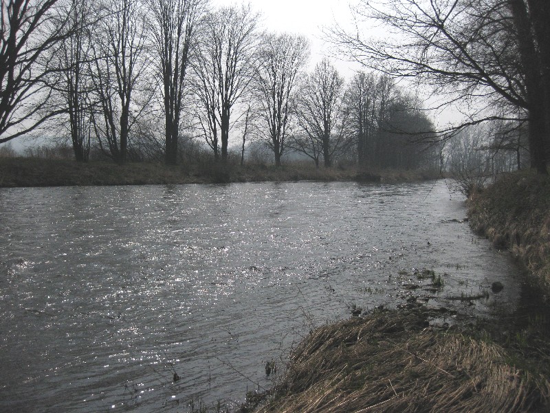 Vltava 24 nad Č. Budějovicemi, Autor fota: ČRS