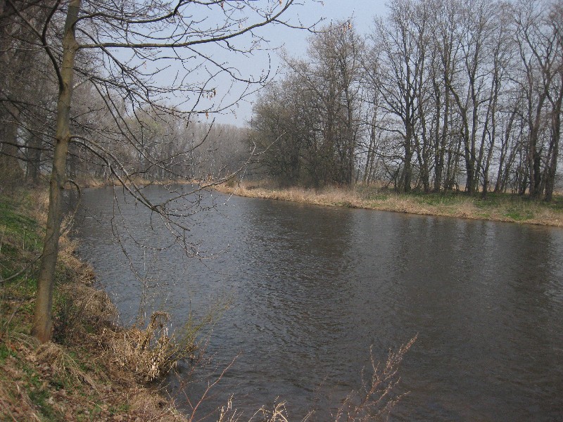 Vltava 24 nad Č. Budějovicemi, Autor fota: ČRS