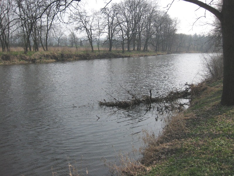 Vltava 24 pod Boršovem nad Vltavou, Autor fota: ČRS