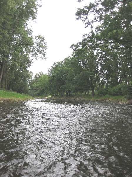 Vltava 24 pod Boršovem nad Vltavou, Autor fota: ČRS