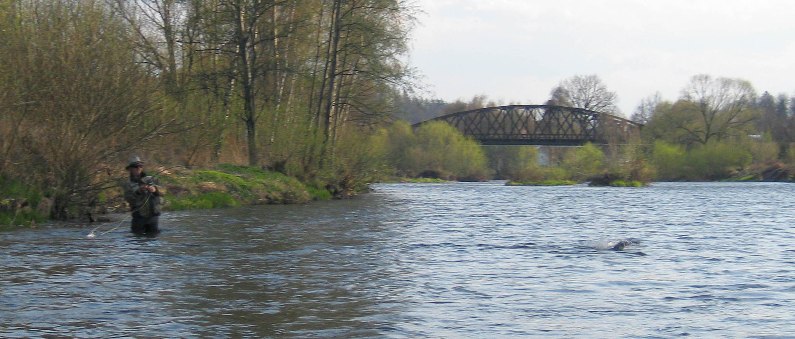 boršov, souboj s rybou, Autor fota: ČRS