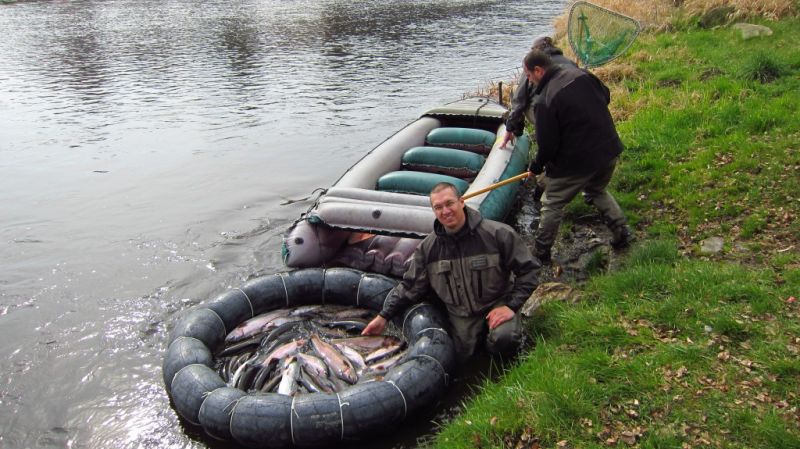 vysazování 13.dubna, Autor fota: ČRS