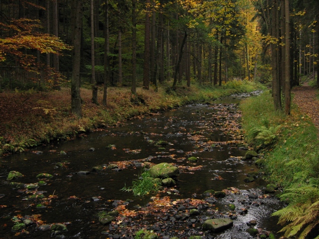 Chřibská Kamenice - fotka z CHRO, Autor fota: ČRS