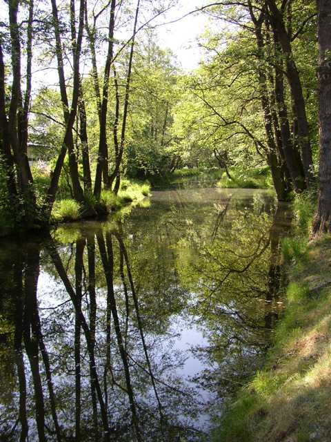 Botič 1 - Petrovice, Autor fota: ČRS